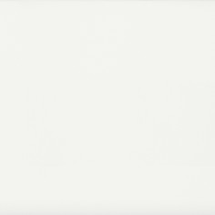 SOFT SAGE (4"X16" MATTE) - CANVAS WHITE (8"X24" GLOSSY)