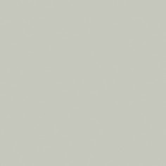 Soft Sage (2"x12" Glossy)