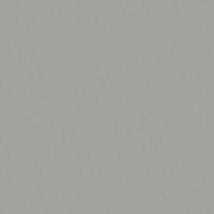 Cement Chic (2"x12" Matte)