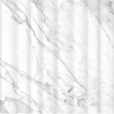 Bianco Vita Alto (12"x36" Matte)