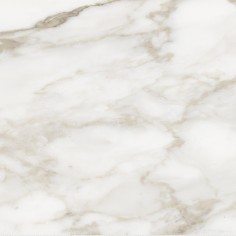 Calacatta Dolce (12"x36" Matte)