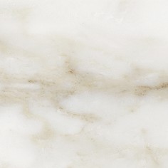 Calacatta Dolce Artisan (3"x12" Matte)
