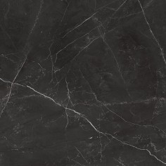 Nero Venato (24"x48" Polished)