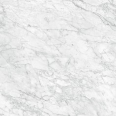 PARADISO ARGENTO (12"X24" HONED) - CARRARA GIOIA (24"X48" POLISHED)