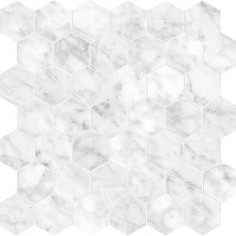 TRAVERTINO INSTRATA (24"X48" POLISHED) - CARRARA GIOIA (2" HEXAGON MOSAIC POLISHED)