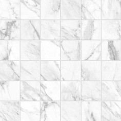 TRAVERTINO INSTRATA (24"X48" POLISHED) - STATUARIETTO (2"X2" MOSAIC)