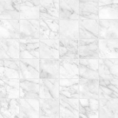 TRAVERTINO INSTRATA (24"X48" POLISHED) - CARRARA GIOIA (2"X2" MOSAIC)