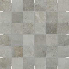 Chromium (2x2 Mosaic 12x12 Rectified)