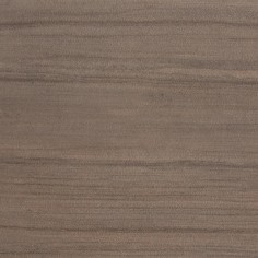 Brown Example Photo