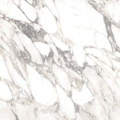 Arabescato (12x24 Honed Rectified)