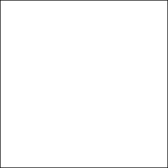 Super White 12”x24” Matte/Mat