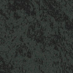 Evergreen (Special Order)