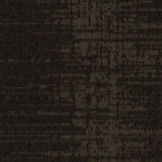 Echo (Special Order)