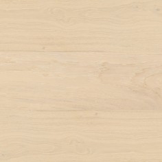 White Oak Aruba