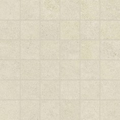 Polar (2"X2" Mosaic)