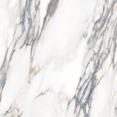 Calacatta Borghini Warm (12”x24” Polished)
