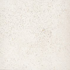 White (12”x24” Matte)
