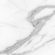 STATUARIO - (2"X2" MOSAIC) - STATUARIO (12"X24" MATTE PRESSED)