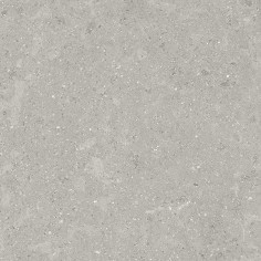 Graphite (12"x24" Matte Pressed)