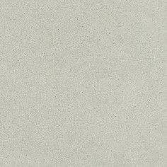 Sienna (12"x24" Matte Pressed)