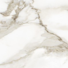STATUARIO - (2"X2" MOSAIC) - CALACATTA (20"X20" MATTE PRESSED)