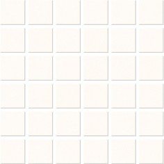 DELORIAN GREY (12"X24" POLISHED) - PERLA (2"X2" MOSAIC)