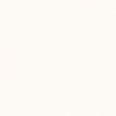 Perla (6”x12” Honed Covebase)