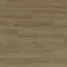 Woodland Oak