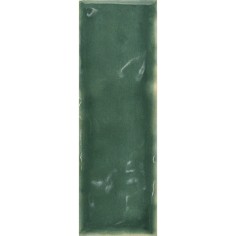CASABLANCA - CB - CASABLANCA BASIL 2X6 GLOSS
