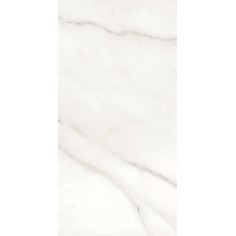Gani Marble Calacatta 12x24 Matte