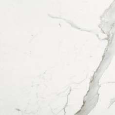 MARBLE EXPERIENCE - MARBLE EXPERIENCE STATUARIO LUX 24X24 NATURAL