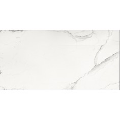 MARBLE EXPERIENCE - MARBLE EXPERIENCE STATUARIO LUX 24X48 POLISHED