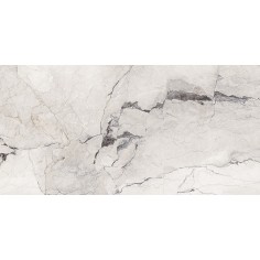 AESTHETICA - AESTHETICA CAMOUFLAGE 24X48 POLISHED RECTIFIED