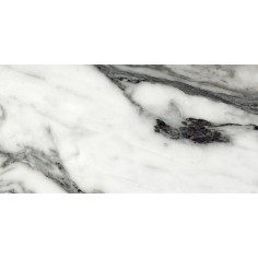 Unique Marble Bianco Siena 12x24 Natural