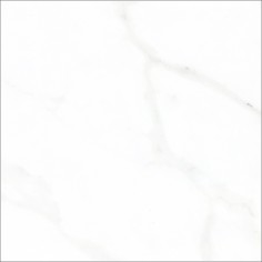 VERONA WHITE - VERONA WHITE 24X24 POLISHED