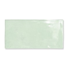 Fez 2.5" X 5" Mint Gloss