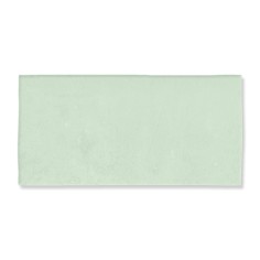 FEZ - FEZ 2.5" X 5" MINT MATTE