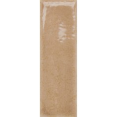 SKIN - SKIN BISCUIT 1.6X5 GLOSS