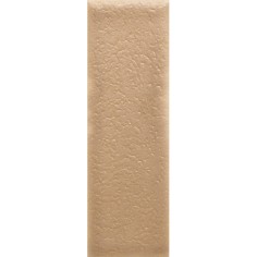 SKIN - SKIN BISCUIT 1.6X5 MATTE