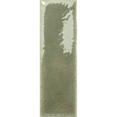 SKIN - SKIN MOSS 1.6X5 GLOSS
