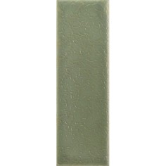 SKIN - SKIN MOSS 1.6X5 MATTE