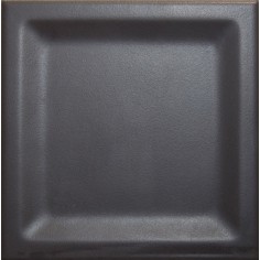 Essential Black Matte Inset 5x5