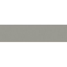 MONOKINI SERIES - WESTMINSTER PADDINGTON GREY 2.5X10 FLAT MATTE