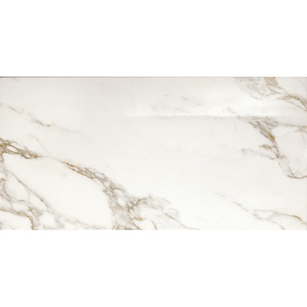 Marble Experience Calacatta Gold 24x48 Polished