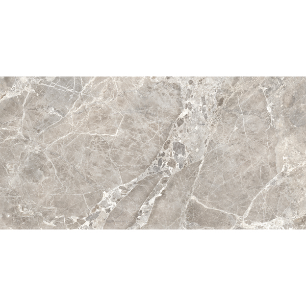 Unique Marble Moon Grey 24x48 Polished