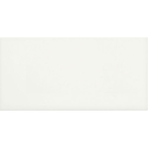 Mini Soho Essentials Canvas White 3x6 Glossy Preview